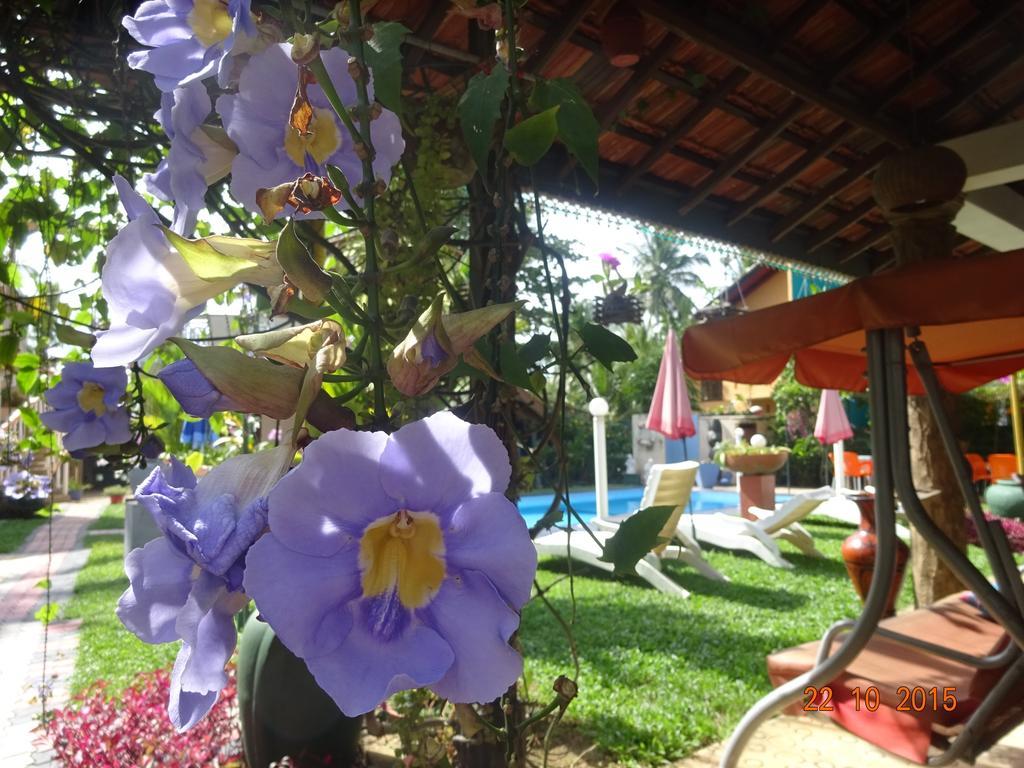 Hilda Guest House Hikkaduwa Exterior photo